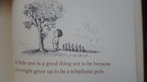 2017-08-06 07.12.35-1