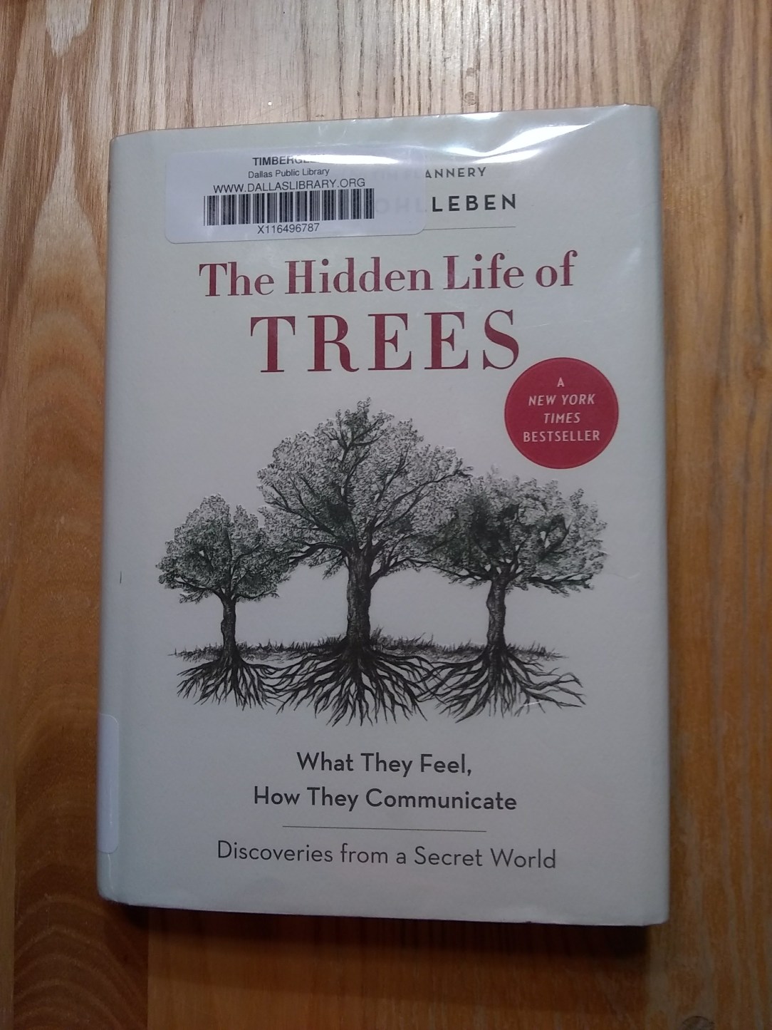 IMG_20180214_102725685_2